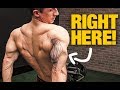 Triceps Size “Secret” (GET BIGGER ARMS!)