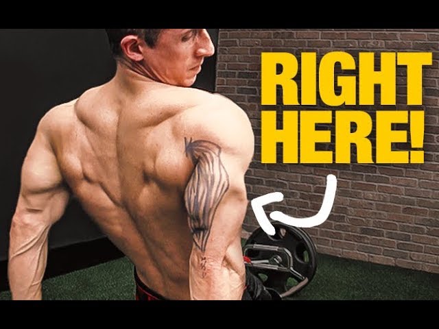 Triceps Size “Secret” (GET BIGGER ARMS!) 