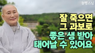 내가 죽어갈 때 맞이해야 할 잔인한 현실 | 존엄하게 죽을 권리를 찾아야 합니다 | 책 '우리 봄날에 다시 만나면' 죽음을 돌보는 수행자 호스피스 능행스님 인터뷰 5