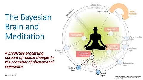 The Bayesian Brain and Meditation