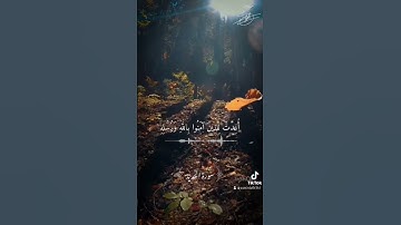القارئ رعد محمد الكردي... تلاوة رهيبة من سورة الحديد