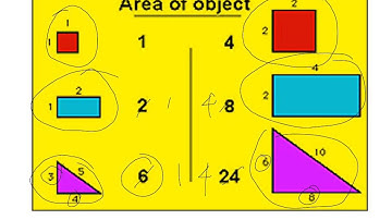 Bio 102 Lecture 1 Animal Form and Function