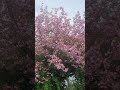 1. Mai 2023