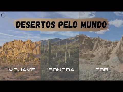 Vídeo: Por que o deserto de sonora é importante?