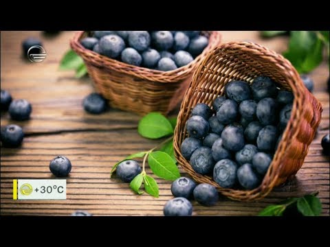 კვირის სუპერ საკვები - ლურჯი მოცვი