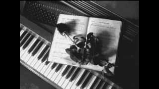 Cacophony '33' - A1/ Aerialdom