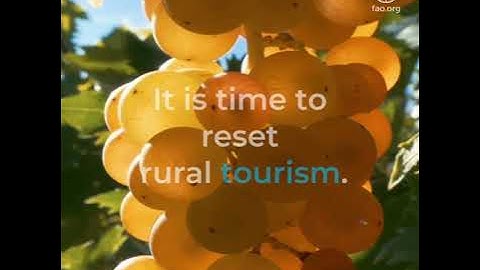 The place of sustainable tourism in preserving the agricultural heritage