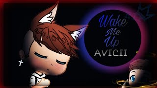 Clip ~ Wake Me Up ~ Hommage pour AVICCI (Du retard)