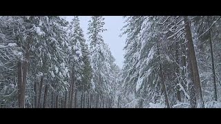 Caltrans closes Highway 50 to clear snow and do avalanche control