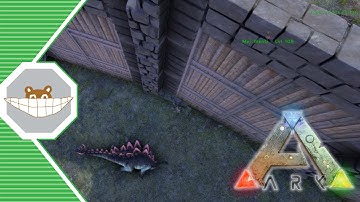 STEGO TRAMPOLINE GLITCH! | Ark: Survival Evolved