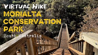 Morialta Conservation Park | VIRTUAL Walk/Hike