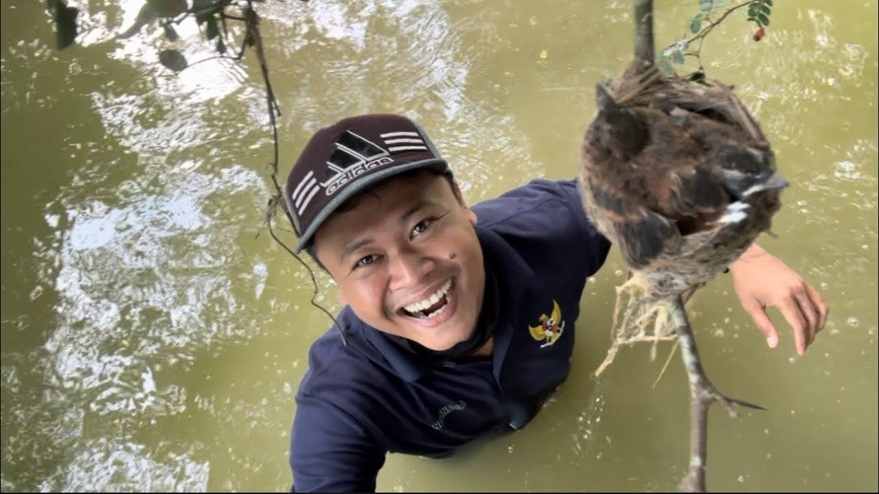 Wow… menggiurkan untuk dipanen,,tapi burung ini sudah susah dijumpai, kita biarkan tetap lestari 😁