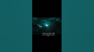 إِنَّكَ مَيِّتٌ وَإِنَّهُمْ مَيِّتُونَ ،ثُمَّ إِنَّكُمْ يَوم||تلاوة خاشعة بصوت الشيخ ياسر الدوسري 💗🌿