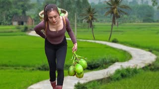 Harvesting Coconut Fruit Goes to market sell - How to make Coconut Jam | Ngân Daily Life