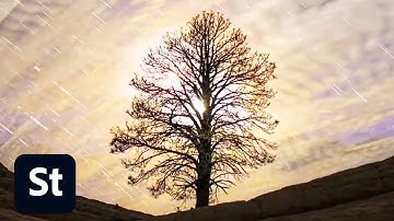 Adobe Stock Video Contributor Highlight | Adobe Creative Cloud