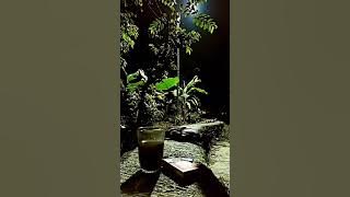 Belati Menyayat Hati - Hisyam Lida Karya Original @eddyvnine09 sumpah lagunya Enak banget lor