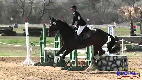 269S Jennette Scanlon Novice Horse Stadium Jumping...