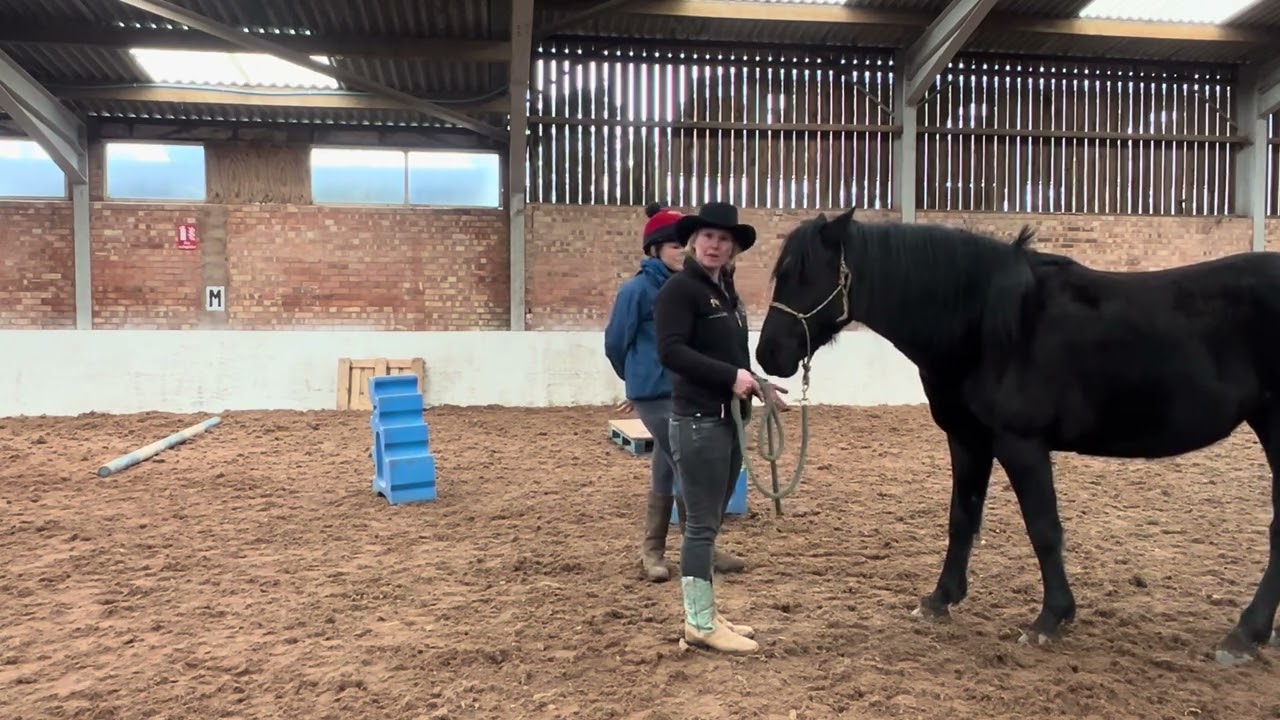 How to lead a horse around obstacles 