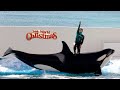 Orca Show Christmas Version at Kamogawa Sea World 【4K】