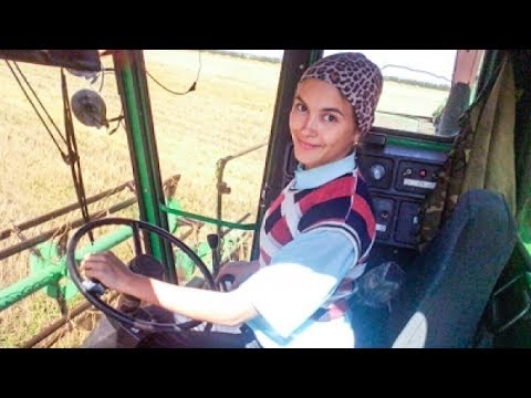 ТК РФ, Статья