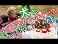 【犬とクリスマスParty】ドッグラン、みんなで遊んだりマシュマロ焼いたりしてみた！