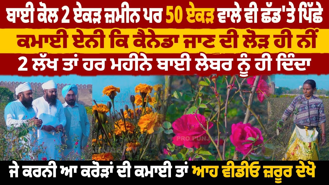 ਬਾਈ ਕੋਲ 2 ਏਕੜ ਜ਼ਮੀਨ ਪਰ 50 ਏਕੜ ਵਾਲੇ ਵੀ ਛੱਡ'ਤੇ ਪਿੱਛੇ, ਕਮਾਈ ਏਨੀ ਕਿ ਕੈਨੇਡਾ ਜਾਣ ਦੀ ਲੋੜ ਹੀ ਨੀਂ