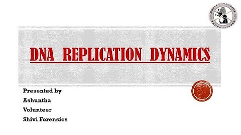 DNA Replication Dynamics | Biotechnology #dna
