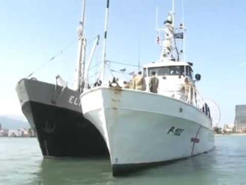 ერთობლივი წვრთნები ღია ზღვაში