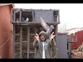 PIGEON RELEASE:like&amp;SUBSCRIBE #pigeon #viral