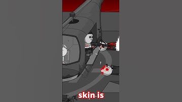 I Never Knew This About Madness Combat...