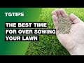 When is the Best Time to Start Over Sowing a Lawn? - Lawn care Tips