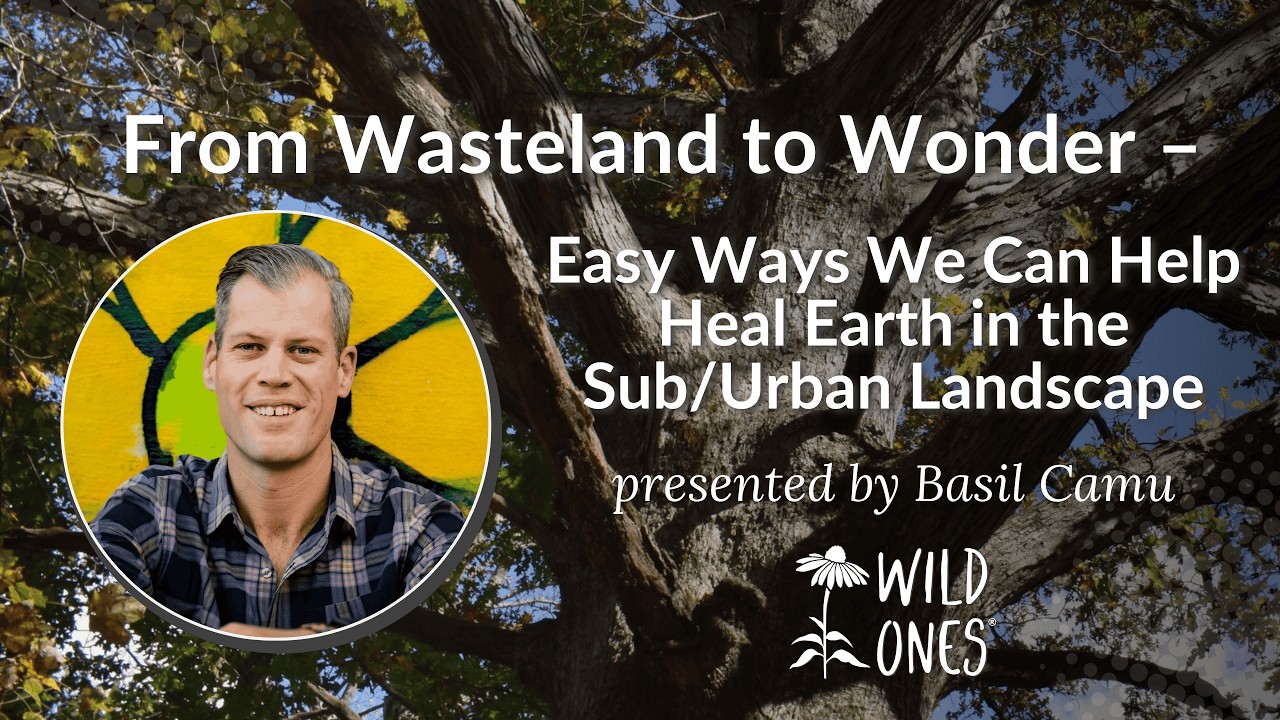 From Wasteland to Wonder – Easy Ways We Can Help Heal Earth in the Sub/Urban Landscape