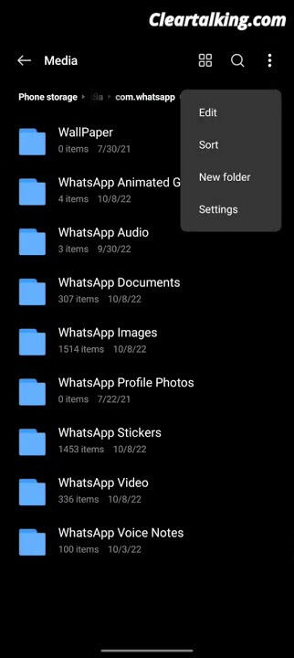 How to see WhatsApp status even after 24 hours