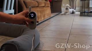GZW-SHOP 1000 Feet Remote Range dog training collar