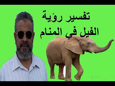 فيديو: لماذا يحلم الفيل