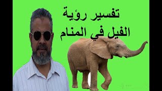تفسير رؤية الفيل للعزباء والمتزوجة والحامل والرجل في المنام/ اسماعيل الجعبيري