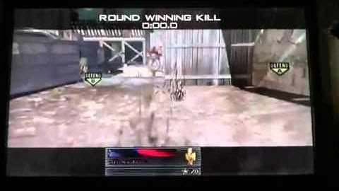 Ladder spin mw2