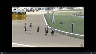 Horse Racing Banks and Lanfranco Dettori Win The 2025 Rushaway Stakes At Turfway Park Sat. March 22