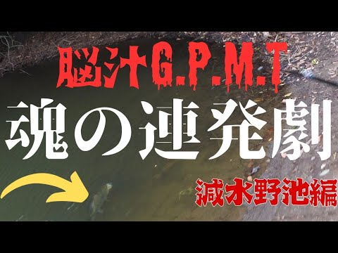 【バス釣り】🔥良型捕獲🔥【BassFishing】