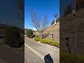 藤井風くんの地元、里庄町。つばきの丘運動公園。#里庄町 #藤井風
