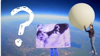 How to Build a High Altitude Balloon