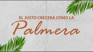 EL JUSTO CRECERA COMO LA PALMERA - LAURA FELICIANO