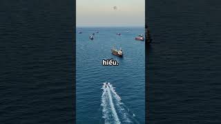 “Giải Mã Bermuda: Thực Sự Có Ma Quỷ Hay Chỉ Là Lỗi Của Con Người?”