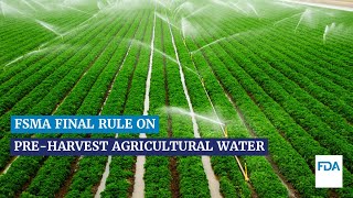 FSMA Final Rule on Pre-Harvest Agricultural Water