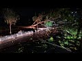 BIJAPUR KE JAMKHNDI ROAD PAR EK PED GIR NE SE...