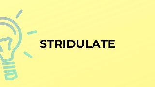 What is the meaning of the word STRIDULATE?