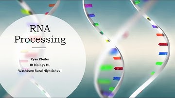 RNA Processing