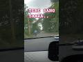 TERE SANG YAARA , VIRAL SONG/ VIRAL VIDEO/ YOUTUBE SHORTS