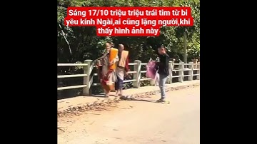 sáng 17/10 triệu triệu trái tim từ bi yêu kính Ngài,ai cũng lặng người#suminhtue #shortvideo