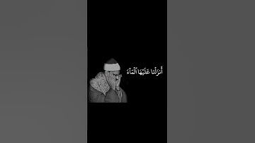 محمد صديق المنشاوي / سورة فصلت
